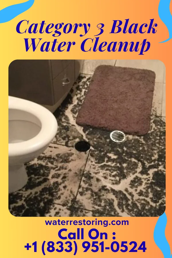 Category 3 Black Water Cleanup in Woolsey, GA