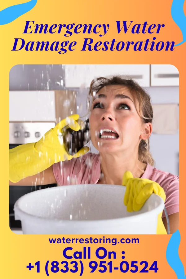 Emergency Water Damage Restoration in Woolsey, GA